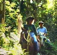 Clarendon Forest Retreat Horse Riding - SA Accommodation