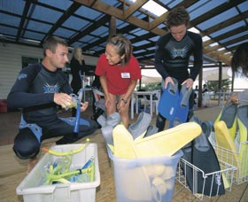 Dolphin Discovery Centre - SA Accommodation 1