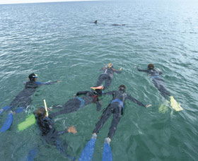 Dolphin Discovery Centre - SA Accommodation 2