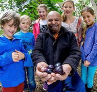 Wigay Aboriginal Culture Park - SA Accommodation