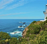 Myall Lakes National Park - SA Accommodation