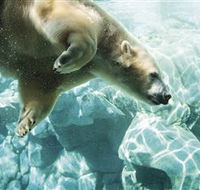 Australia's Sea World - SA Accommodation