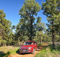 Wallingat Forest drive - SA Accommodation