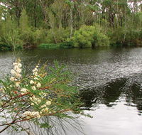 Wallingat National Park - SA Accommodation