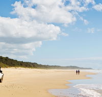 Bongil Bongil National Park - SA Accommodation