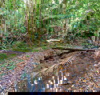 Ulidarra National Park - SA Accommodation