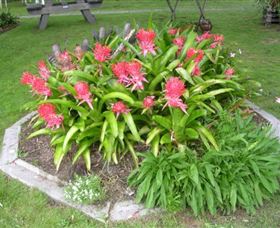 Moorlands Cottage And Gallery - SA Accommodation 2