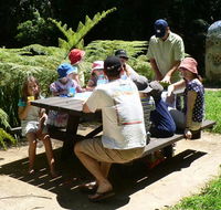 The Pines picnic area - SA Accommodation