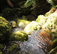 South East Forests National Park - SA Accommodation