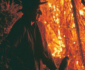 The Shed Gallery - SA Accommodation 0