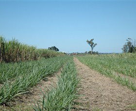 The Shed Gallery - SA Accommodation 1