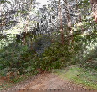 End Peak walking track - SA Accommodation