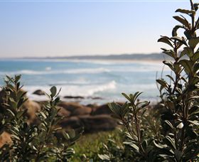 Cape Conran Coastal Park - SA Accommodation 0