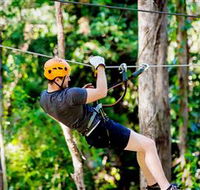 TreeTop Challenge Currumbin - SA Accommodation