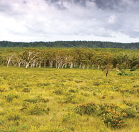 Yuraygir National Park - SA Accommodation