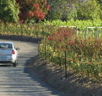 Cassegrain Wines - SA Accommodation