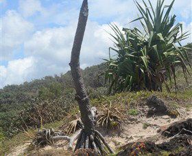 Chinamans Beach Evans Head - SA Accommodation 2