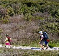 Yuraygir coastal walk - SA Accommodation