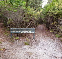 Angophora grove walking track - SA Accommodation