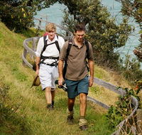 Illaroo to Wooli walking track - SA Accommodation