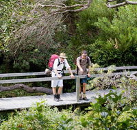 Wilsons Headland walking track - SA Accommodation