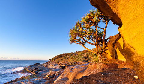 Angourie To Brooms Head - SA Accommodation 1