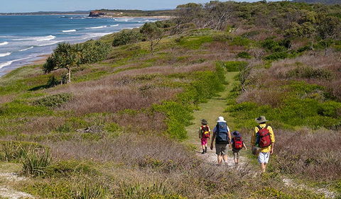 Angourie To Brooms Head - SA Accommodation 3