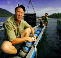 Armstrong Oysters - SA Accommodation