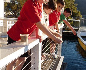 Dunbogan Boatshed - SA Accommodation 3