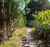 North Head walking track - SA Accommodation