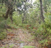 Kinchela Trig Lookout walk - SA Accommodation