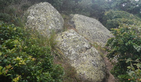 Korogoro Walking Track - SA Accommodation 2