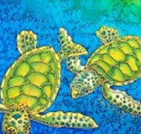 Sea Silks Gallery - SA Accommodation