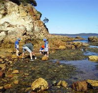 Sapphire Coast Marine Discovery Centre - SA Accommodation
