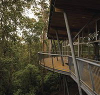Tarkine Forest Adventures - Dismal Swamp - SA Accommodation