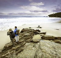 Wilderness Coast Walk - SA Accommodation