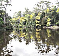 Arthur River - SA Accommodation