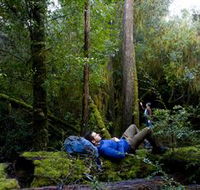 The Tarkine Drive - SA Accommodation