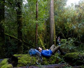 The Tarkine Drive - SA Accommodation 0