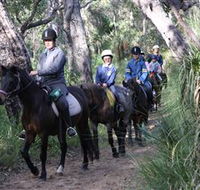 Mirravale Horse Riding School - SA Accommodation