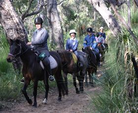 Mirravale Horse Riding School - SA Accommodation 0