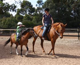 Mirravale Horse Riding School - SA Accommodation 1
