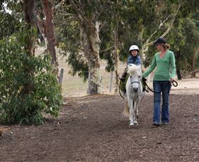 Mirravale Horse Riding School - SA Accommodation 2