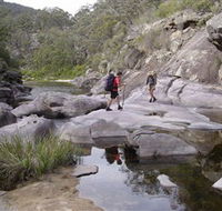 Nadgee Wilderness Walk - SA Accommodation