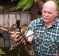 Lobster Ponds - SA Accommodation