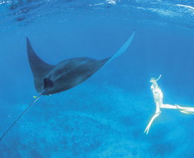 Ningaloo Reef - SA Accommodation 3