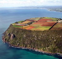 Table Cape - SA Accommodation