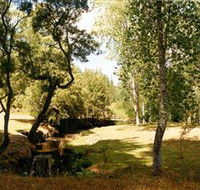 Oldina Picnic Area - SA Accommodation