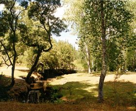 Oldina Picnic Area - SA Accommodation 0