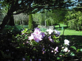 Annsleigh Gardens And Cafe - SA Accommodation 3